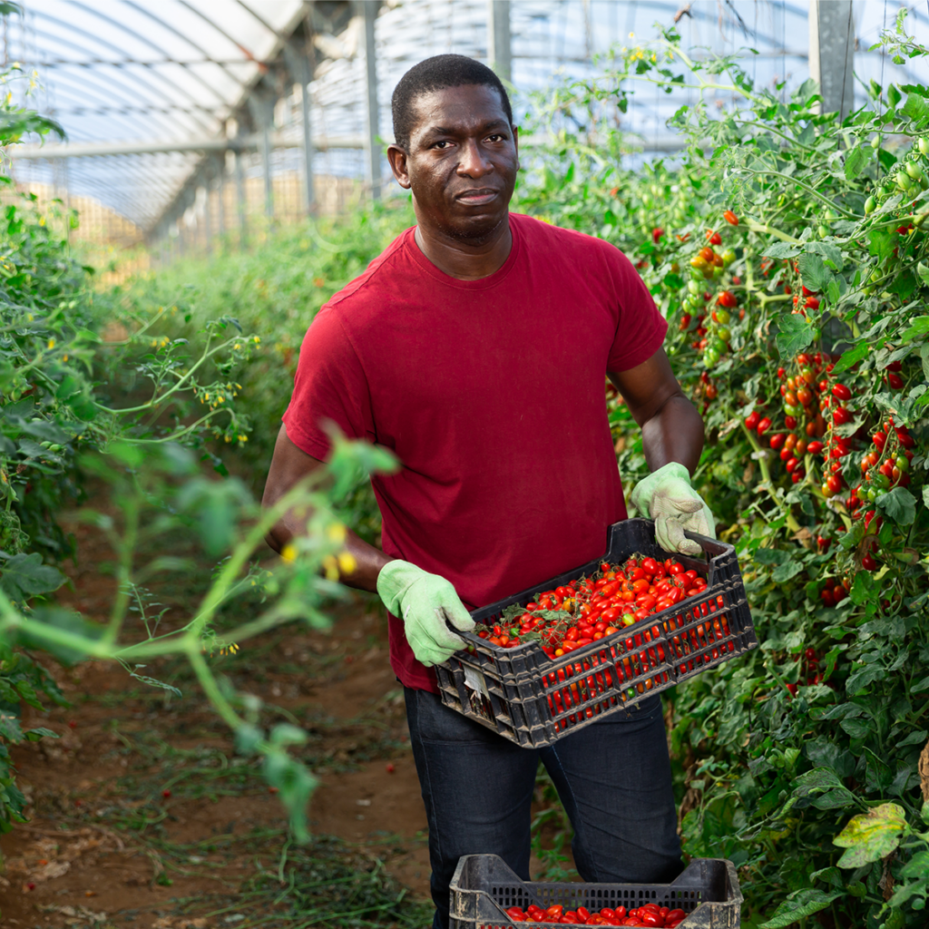 Overseas Employment Programme